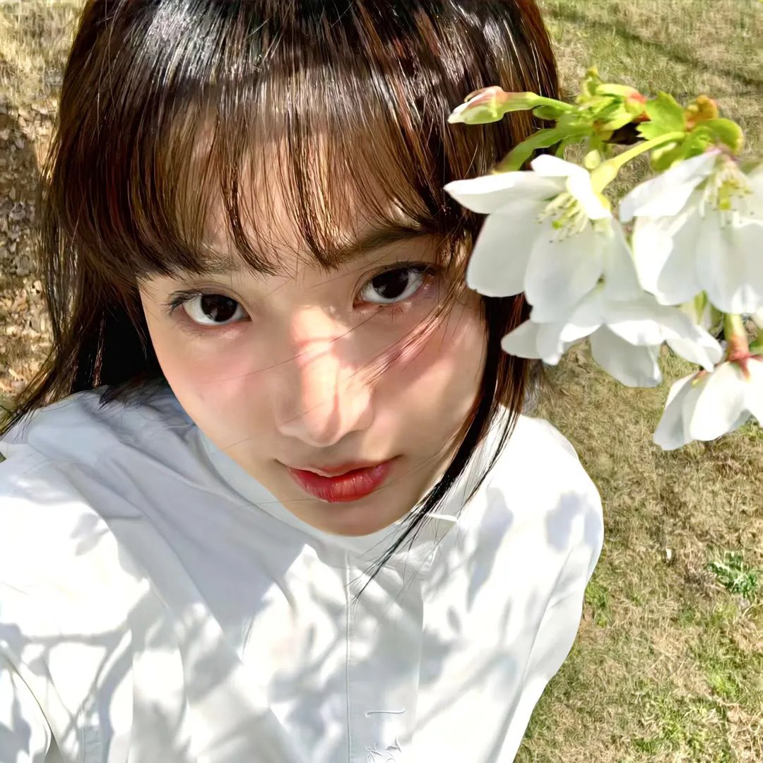 八十龟酱观察日记第二季